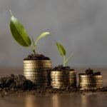 Introduction to Business Wealth Management for SMBs