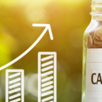 Understanding Business Cash Flows and Why it is important