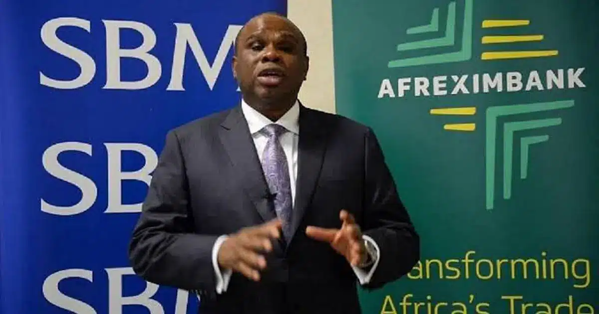 Afreximbank Earmarks $310m for Small Businesses in Africa