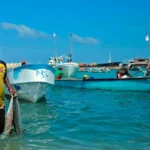 Somalia Looks to Tap $2 Billion Fisheries Economy with New Policy