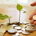 Global Investment in Energy-Efficient Technologies Hits $660 Billion in 2024, According to IEA Report