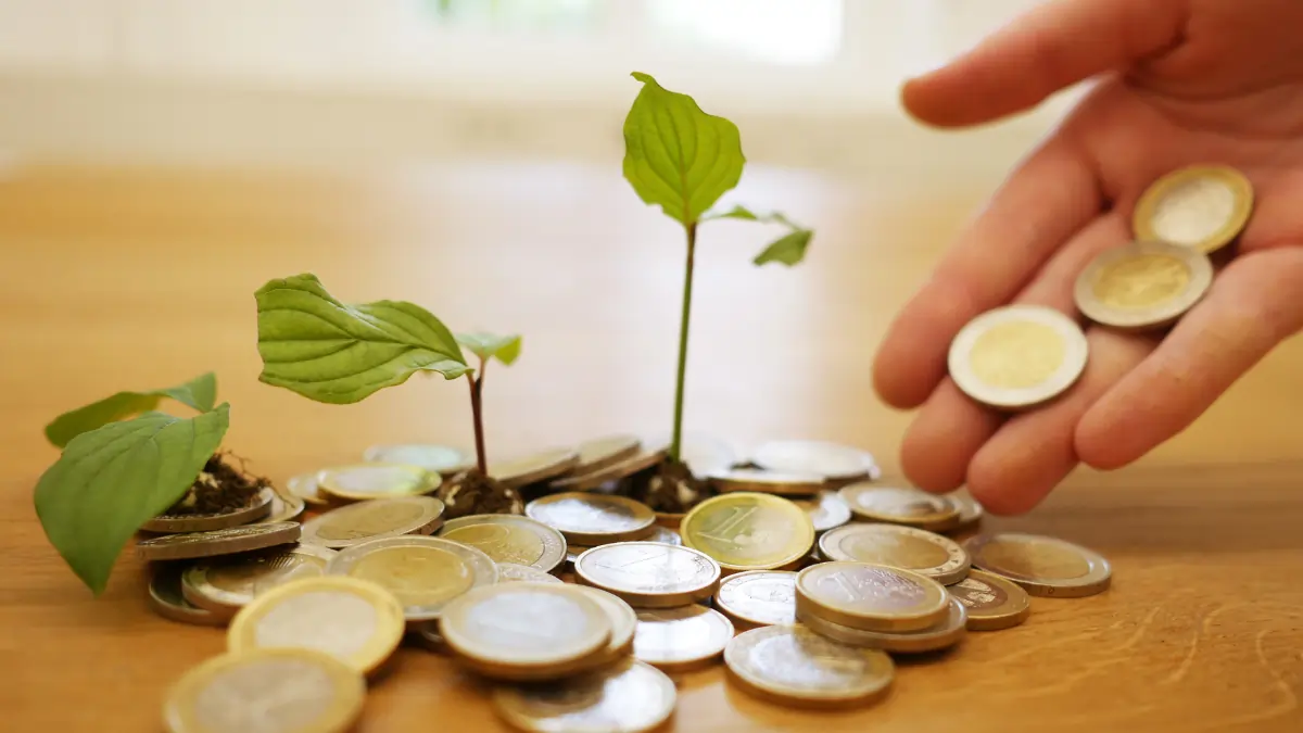 Global Investment in Energy-Efficient Technologies Hits $660 Billion in 2024, According to IEA Report