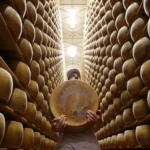 Euro Zone Business Activity Sees Gradual Recovery in December: PMI Data Reflects Mixed Trends