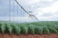 Kenya Launches Ambitious 10-Year Irrigation Plan to Boost Food Security and Create 5 Million Jobs