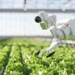 US Agri Food Tech Funding Surges as AI Innovations Redefine the Industry