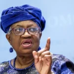 WTO slashes 2025 trade growth forecast, warns of deeper slump