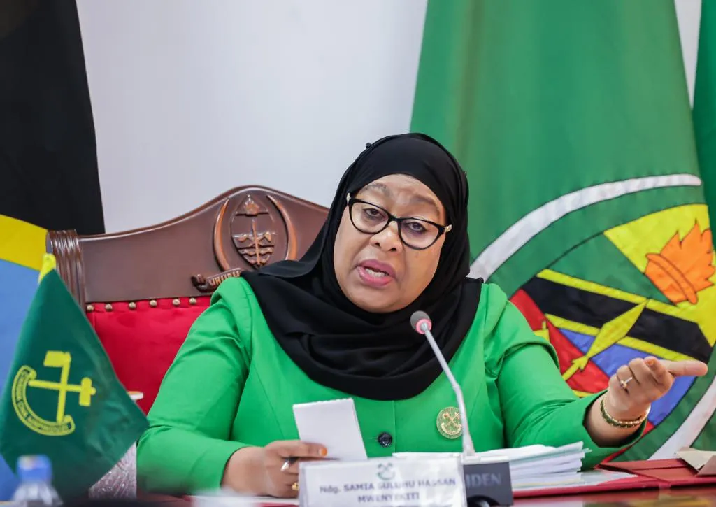 Tanzania Bans Use of US Dollars, Other Foreign Currencies for Local Transactions