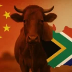 China Imposes Blanket Ban on South African Beef Imports Amidst Foot and Mouth Disease Outbreak