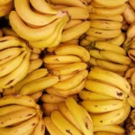 South Africa Affirms No Ban on Tanzanian Banana Imports, Awaits Phytosanitary Approval