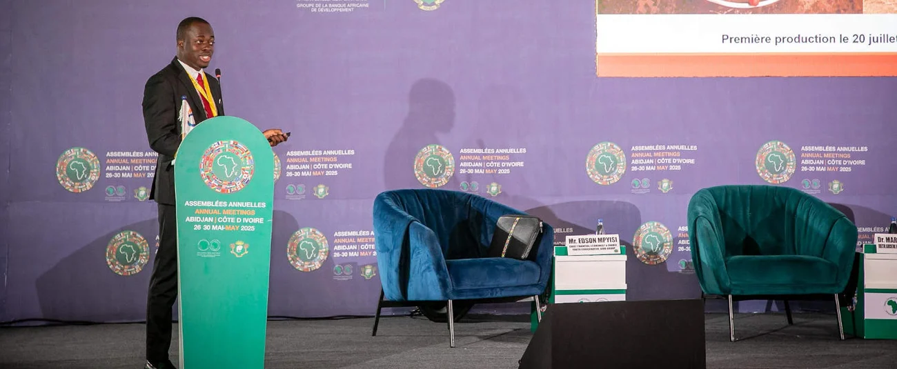 The African Development Bank Approves US$100 Million Investment in Arise Integrated Industrial Platforms