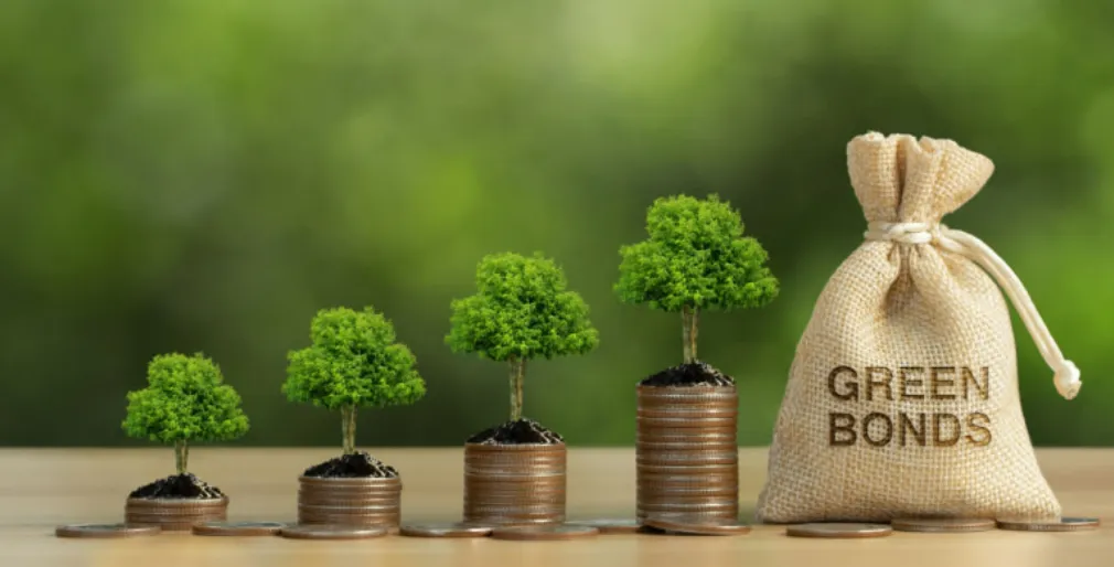 Green Bonds and Carbon Offsets