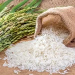 Kenya partners with Korea to boost rice production, enhance food security, and cut imports through tech-driven, sustainable farming innovations