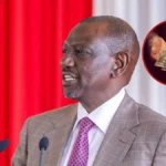 Kenya's Forex Reserves Drop by KSh 65b on External Debt Repayments