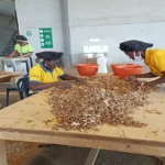 Aavishkaar Capital invests $5M in Horizon Group Africa via GSCSF