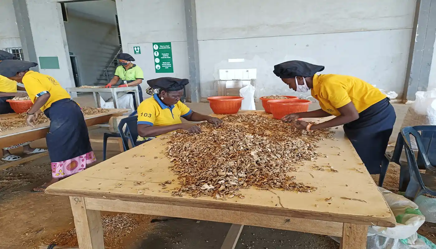 Aavishkaar Capital invests $5M in Horizon Group Africa via GSCSF