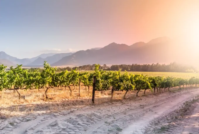 BII and FirstRand Launch Groundbreaking $150 Million Transition Finance Facility to Accelerate African Decarbonisation