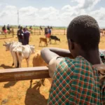 Kenya Introduces Groundbreaking 10-Day Insurance Payout Rule to Protect Farmers from Climate Risks