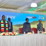 Zimbabwe's New VAT Policy Threatens to Derail Tourism Momentum as Industry Grapples With Pre-Booked 2026 Contracts