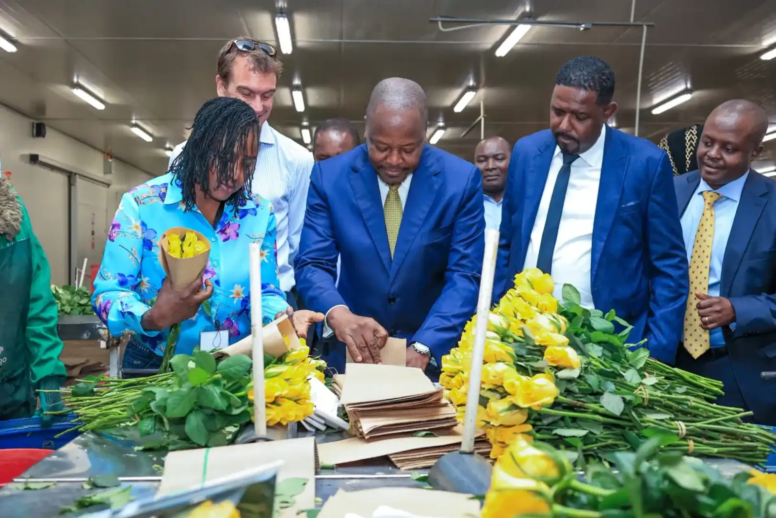 Flamingo Horticulture Bets Big on Kenya: How VAT Refunds Fuel 2,000-Job Expansion Amid Industry Cashflow Crisis