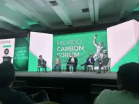 Colima Pioneers Comprehensive Carbon Pricing Framework as Mexico's Subnational Climate Action Gains Momentum