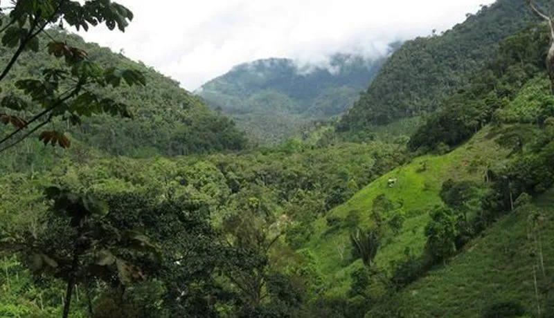 Canadian Businesses Find Strategic Advantage in Climate Initiatives Despite Mounting Economic Pressures