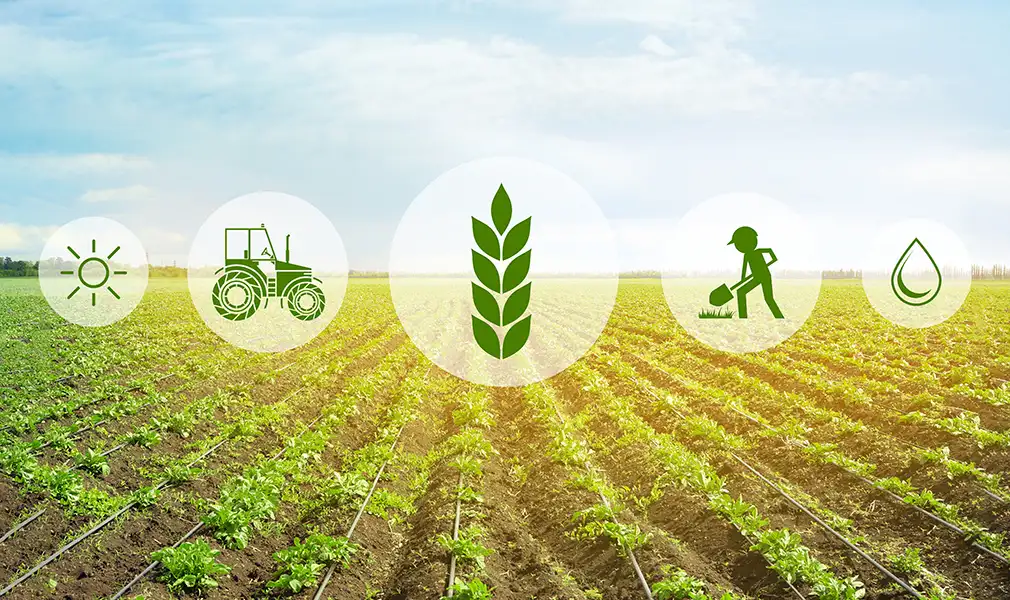 agricultural sector's