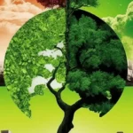 South Africa’s Climate Transition Policies Are Creating Jobs — but Leaving Gaps